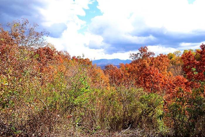 Burnin' Love Gatlinburg Εξωτερικό φωτογραφία