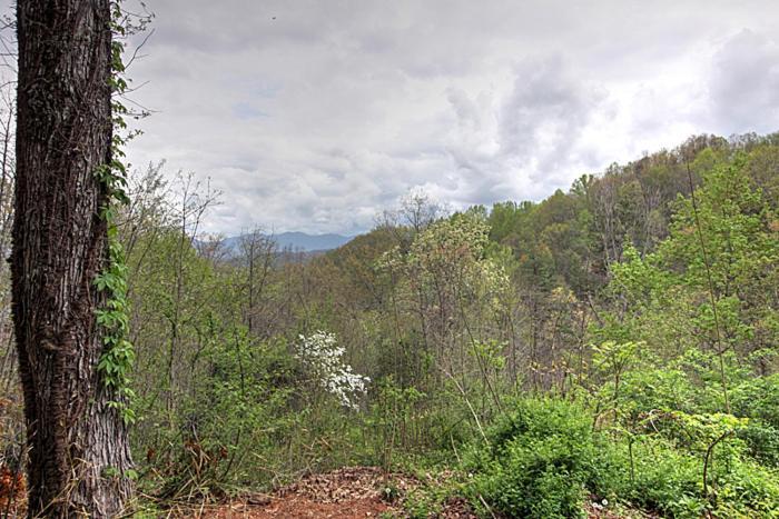 Burnin' Love Gatlinburg Εξωτερικό φωτογραφία